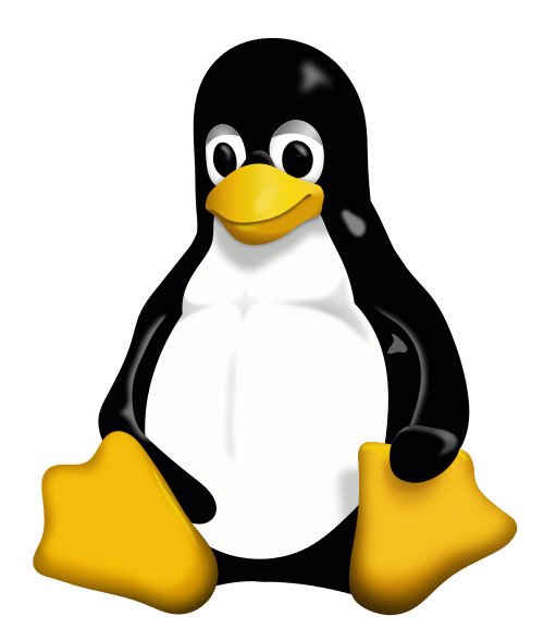 Tux Pinguin