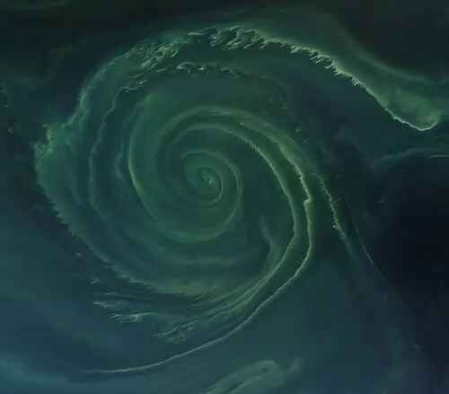 Landsat 8 real color image of cHAB formed by Nodularia spumigena in the Baltic Sea (23-July-2018)