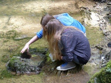 Kinder untersuchen Biofilm