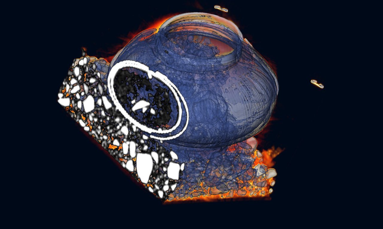 MicroCT-Aufnahme