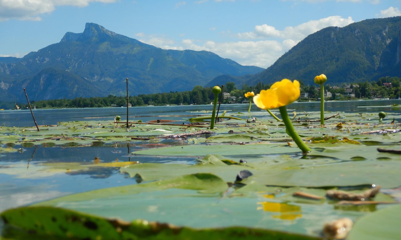 Mondsee