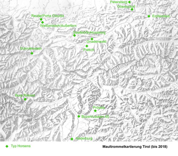 Maultrommelkartierung Tirol Typ Horsens