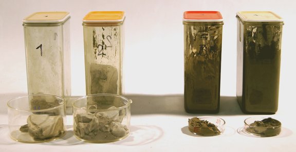 feinkörnige Bodenproben