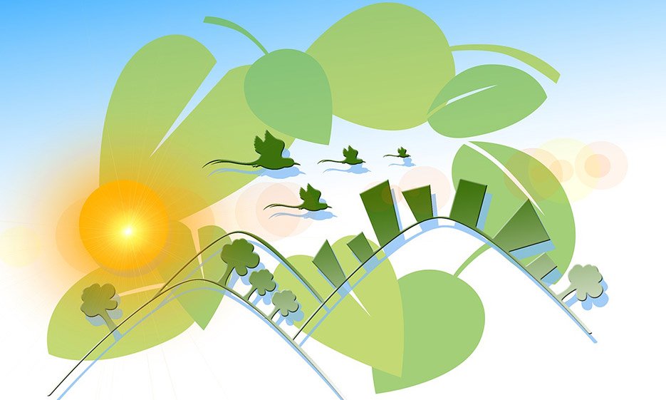 meet-an-ecology_935x561