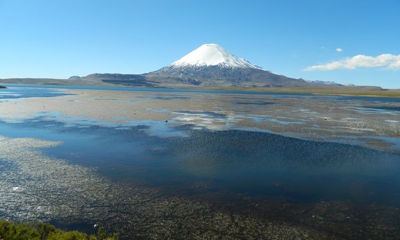 Lake at Lauca National Park in Chile.