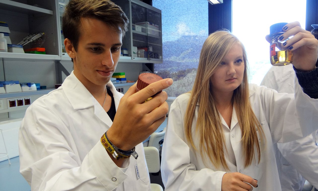 Schüler im Labor