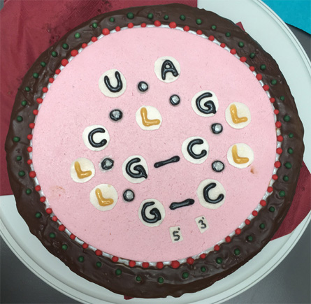RNA-ligand cake for Jovana, PhD party 2019