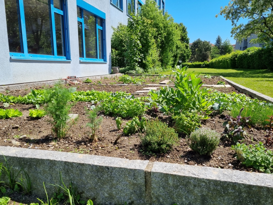 Gemeinschaftsgarten HLWest