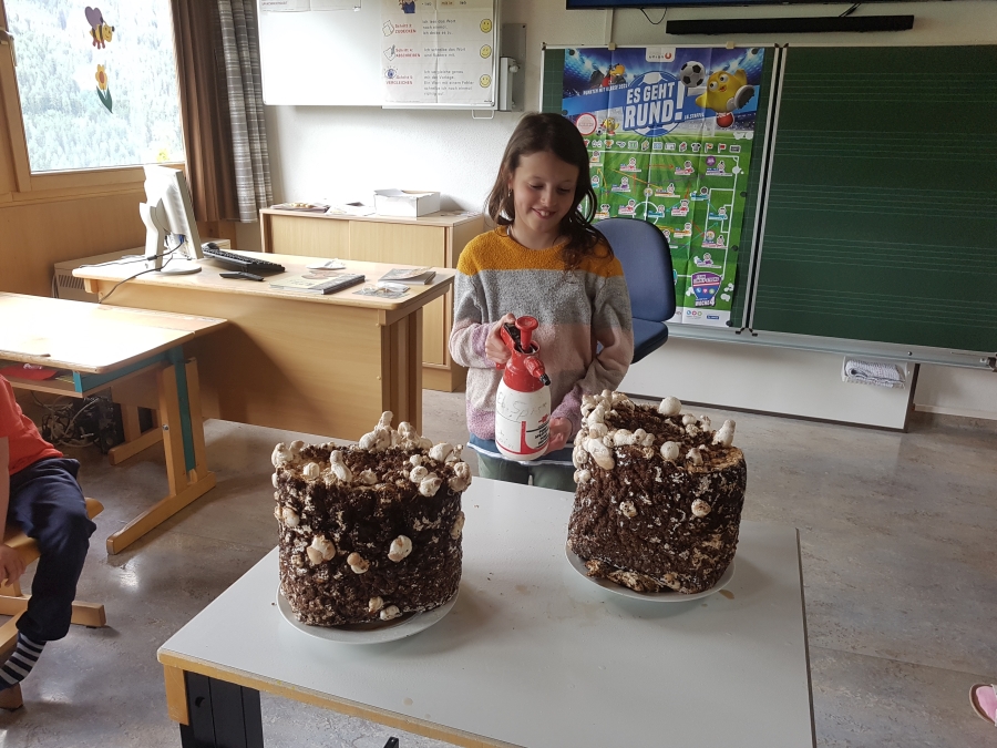 Pilzgartenprojekt VS Eichholz