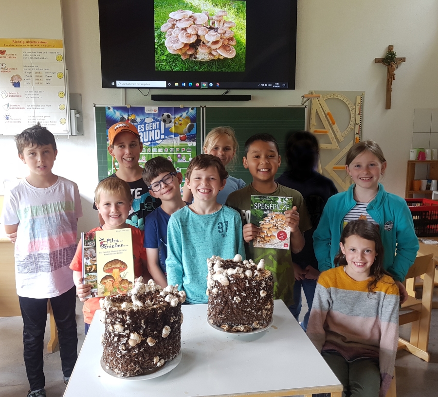 Projekt "Pilzgarten"