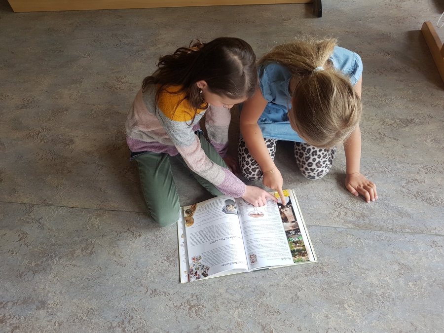 Projekt "Pilzgarten"