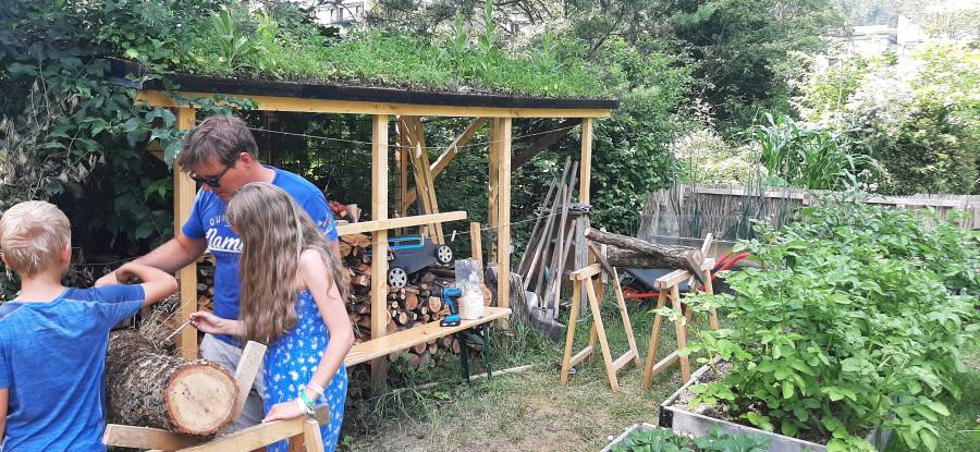 hort-impfung-pilzbrut-i