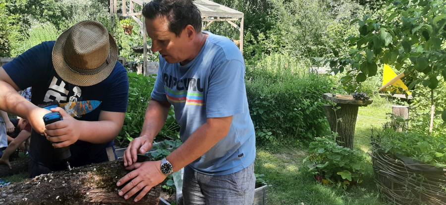 hort-impfung-pilzbrut-ii