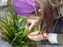 inquire_lowres.jpg Das „forschend-entwickelnde Lernen“ wurde im Rahmen der „Grünen Schule“ bereits erfolgreich angewendet.