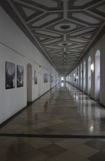 Ausstellung Bild Ausstellung Bild