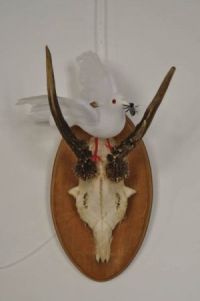 Ausstellung Bild Ausstellung Bild