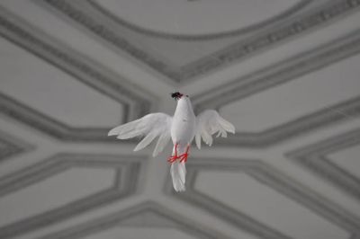 Ausstellung Bild Ausstellung Bild