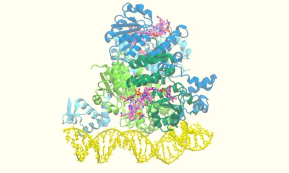 Schematische Darstellung eines Proteinkomplexes